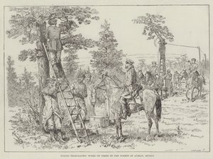 Fixing Telegraphic Wires on Trees in the Forest of Lublin, Russia
